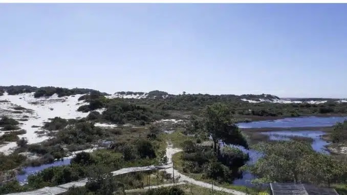 Parque das Dunas Salvador fotoğraf 1
