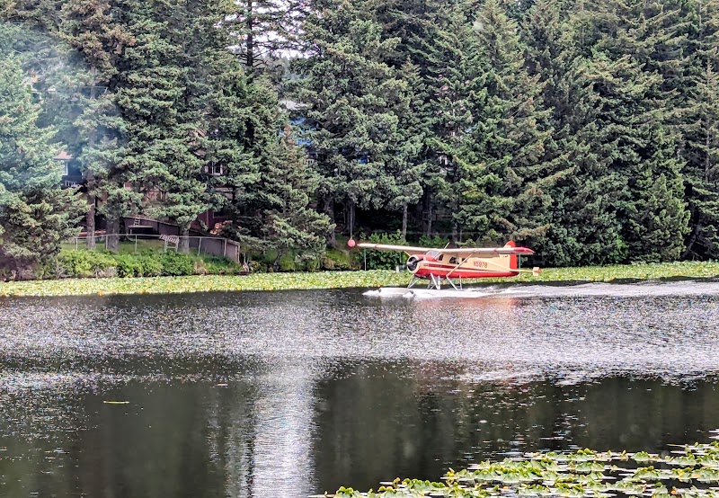 Harborside Fly-by Coffee photo 3