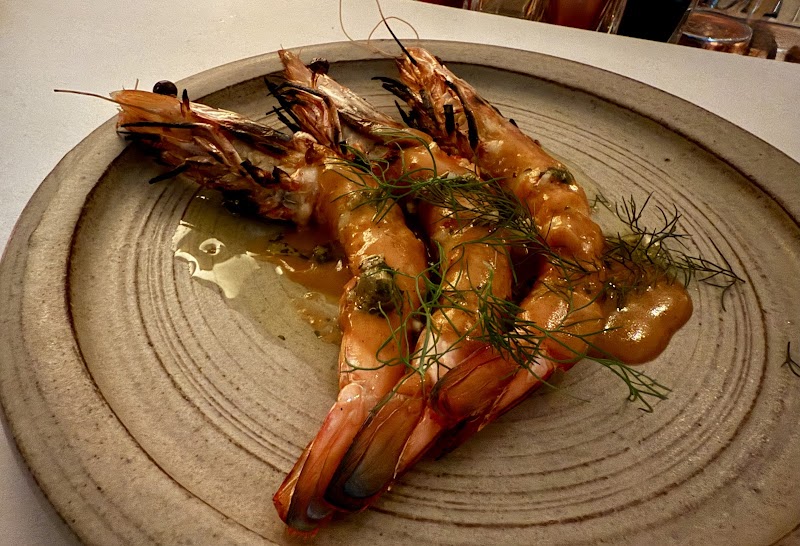 Ikaria Bondi photo 6