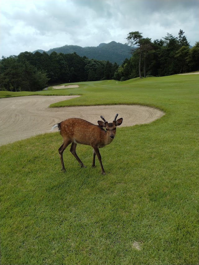 Yachiyo Country Club - Photo 2