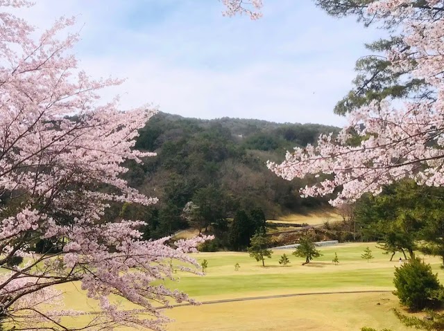 Yachiyo Country Club - Photo 6