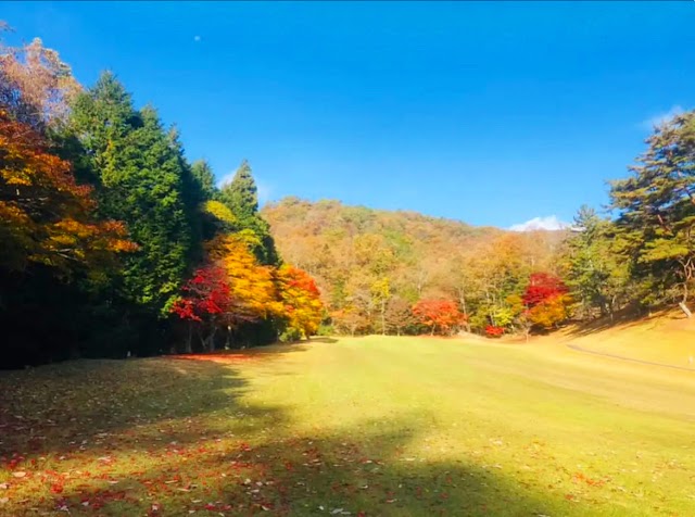 Yachiyo Country Club - Photo 10