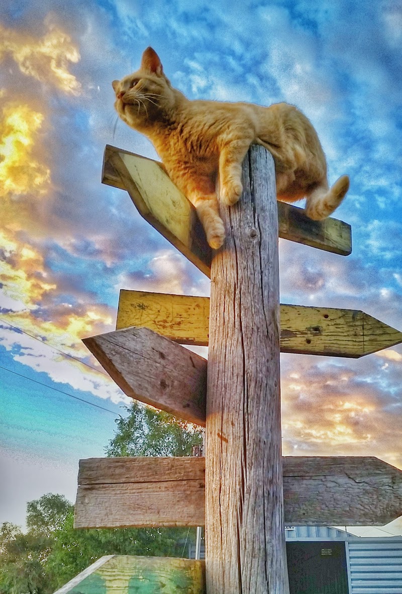 Reclamation-Ranch - Photo 3