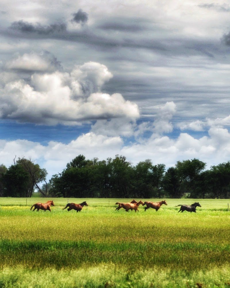 Reclamation-Ranch - Photo 4
