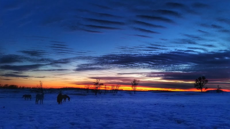 Reclamation-Ranch - Photo 5