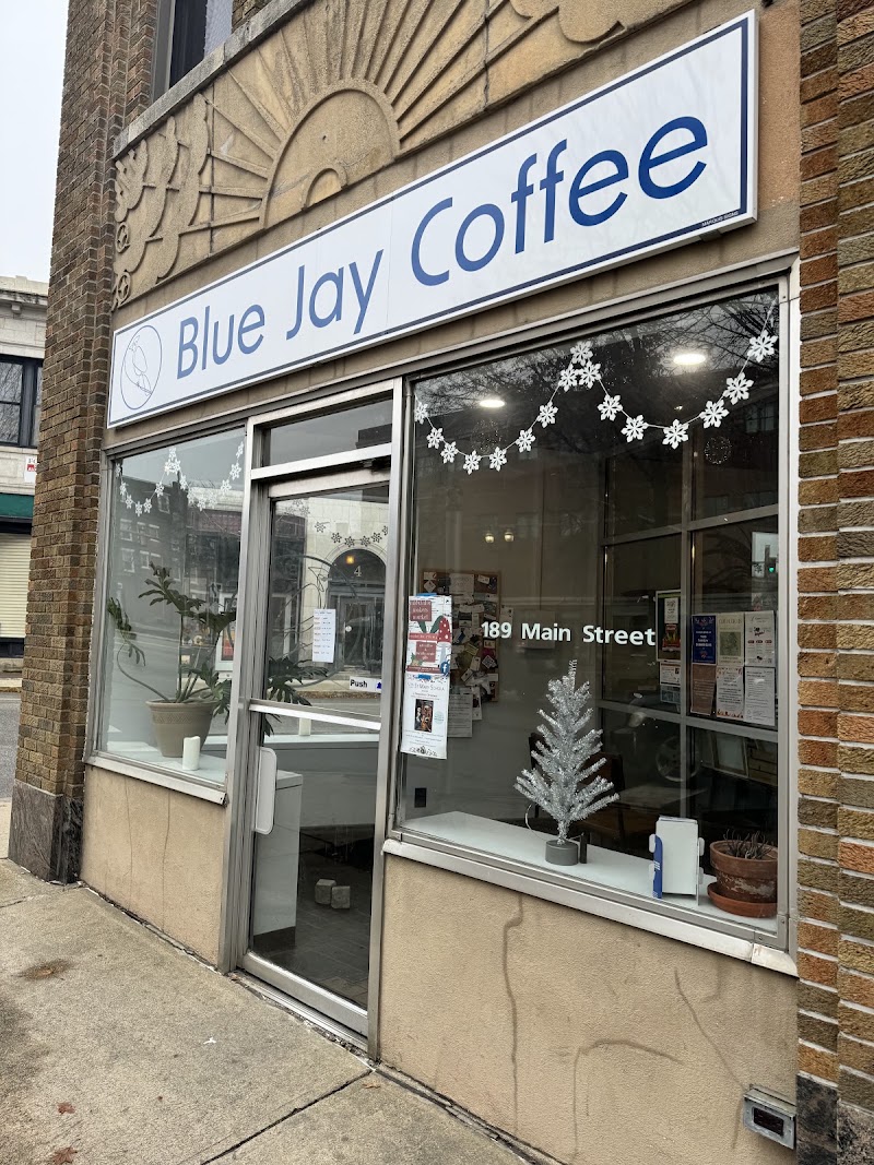 Blue Jay Coffee photo 1
