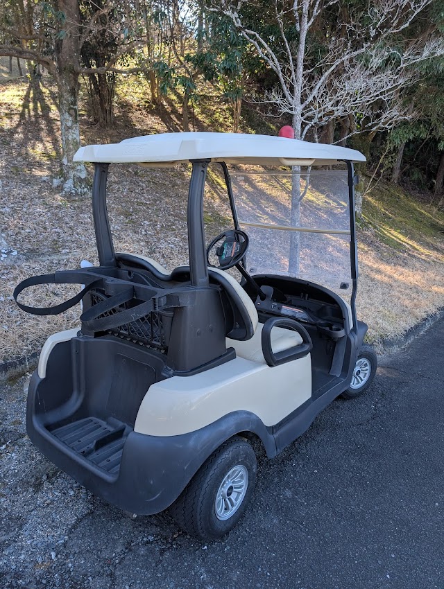 Lake Hamamatsu Country Club - Photo 8