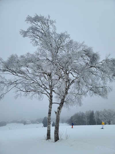 Nozawa Onsen Ski Area - 5