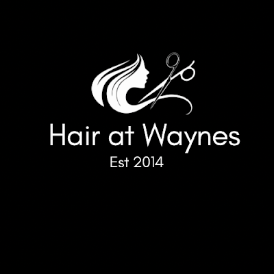 Hair @ Wayne's