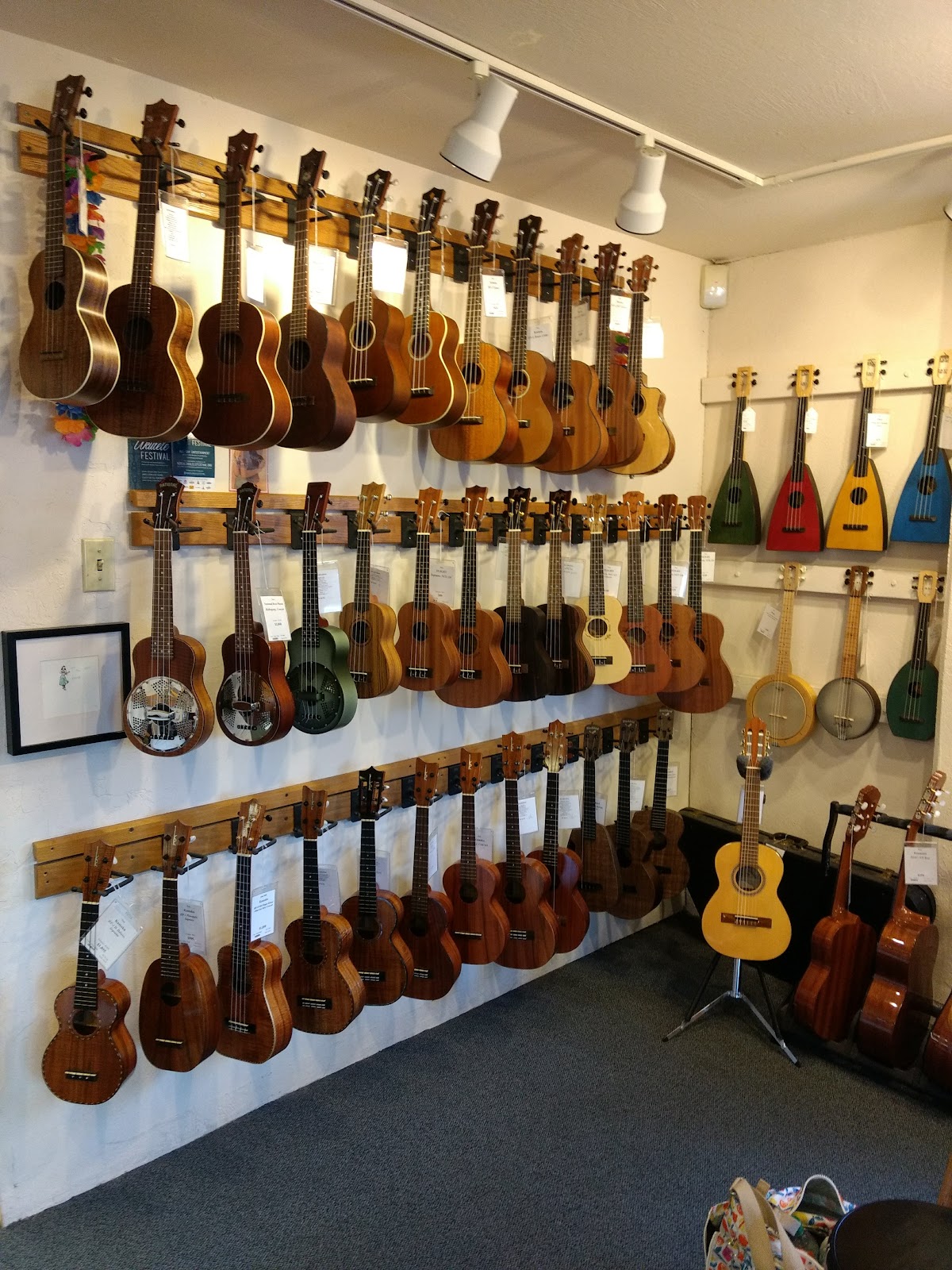 Gryphon Stringed Instruments: Google Places image 3
