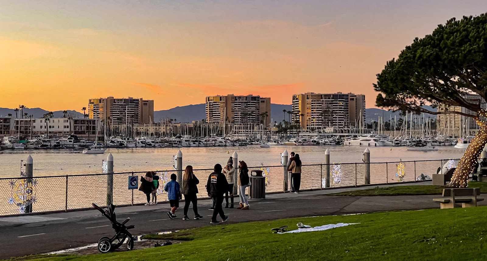 Best Pet-Friendly Hotels in Los Angeles, United States