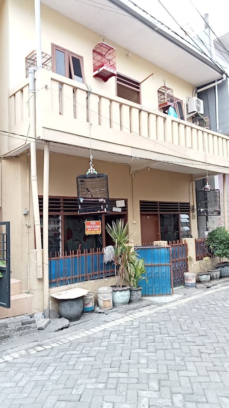 Kos Harian / Bulanan P. Anang