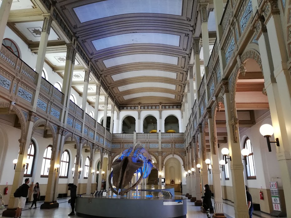 Museo Nacional de Historia Natural fotoğraf 1