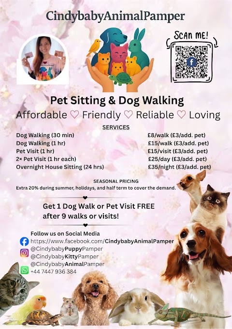Cindybaby Animal Pamper in Bristol