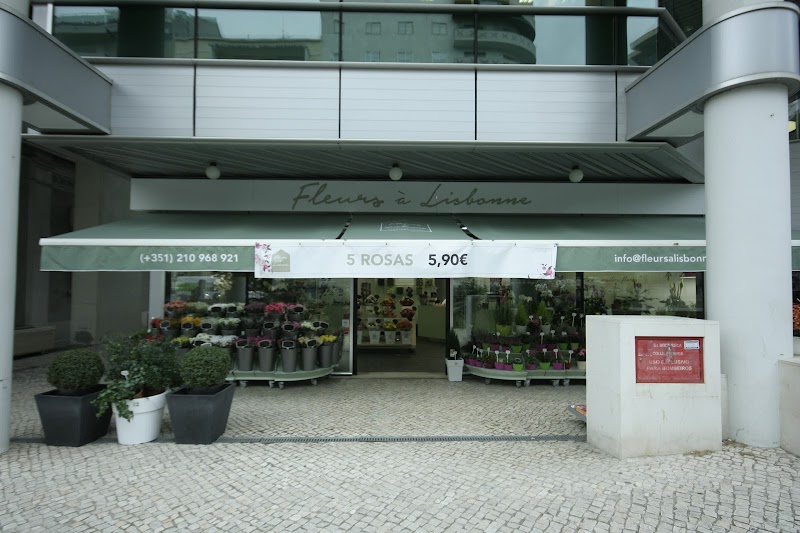 Fleurs à Lisbonne