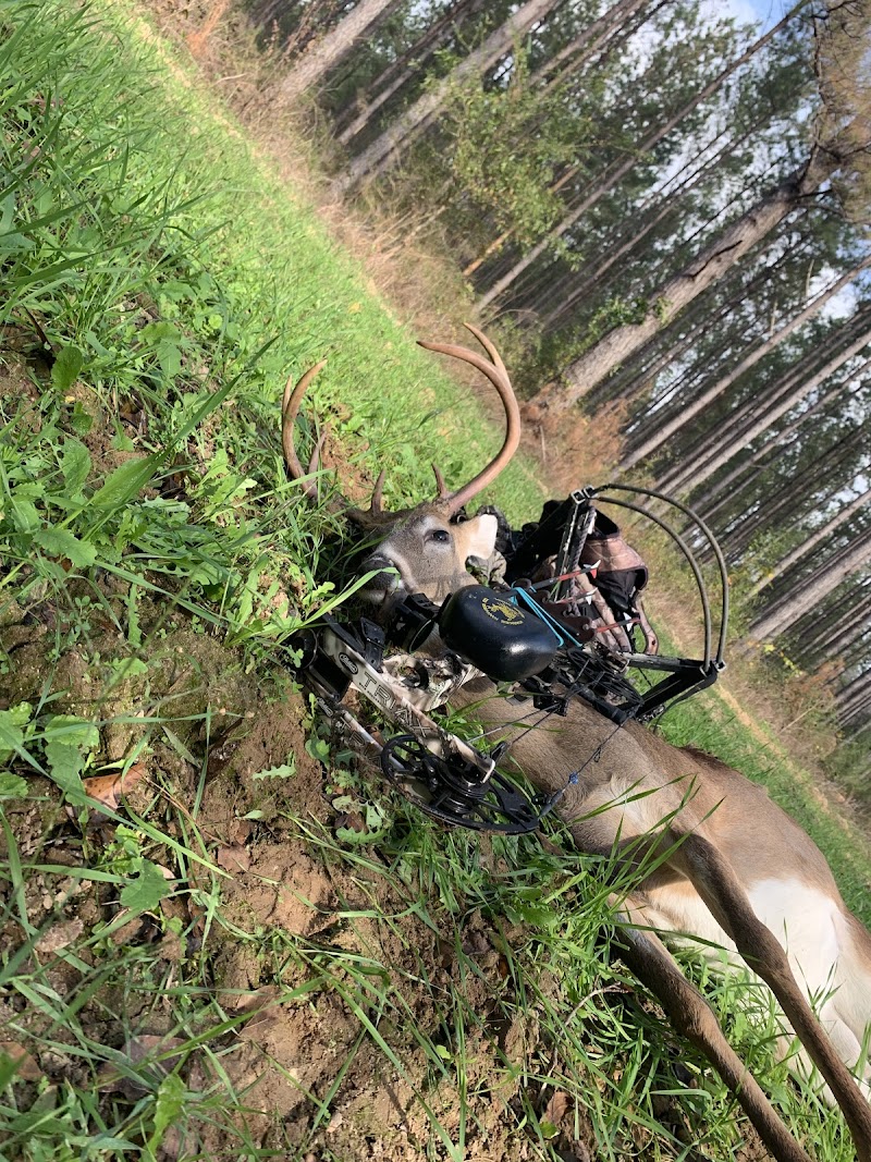 Alabama River Lodge - Photo 2