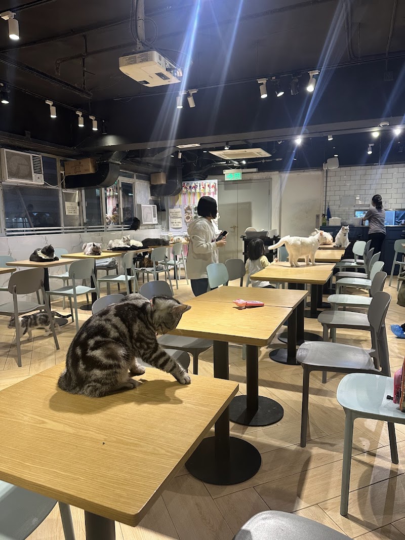 URBAN Cafe (觀塘駱駝漆大廈第1座)
