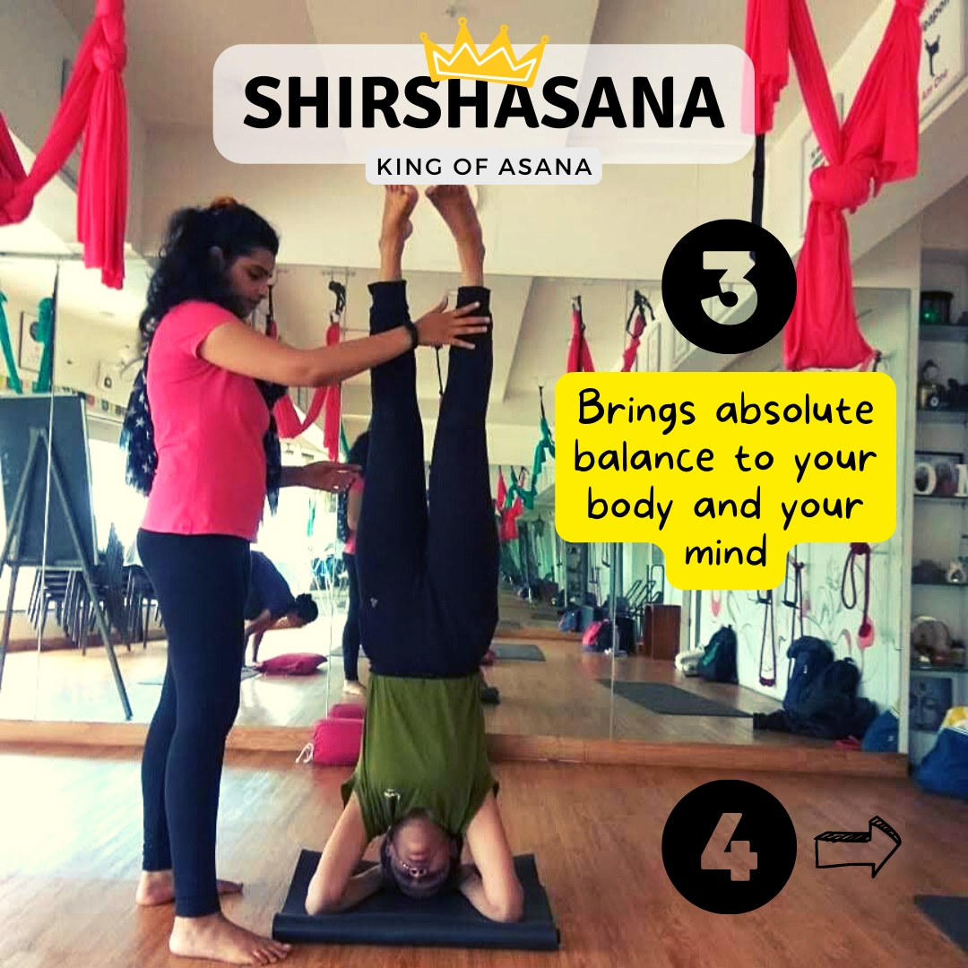 Hatha Yoga Institute — 3