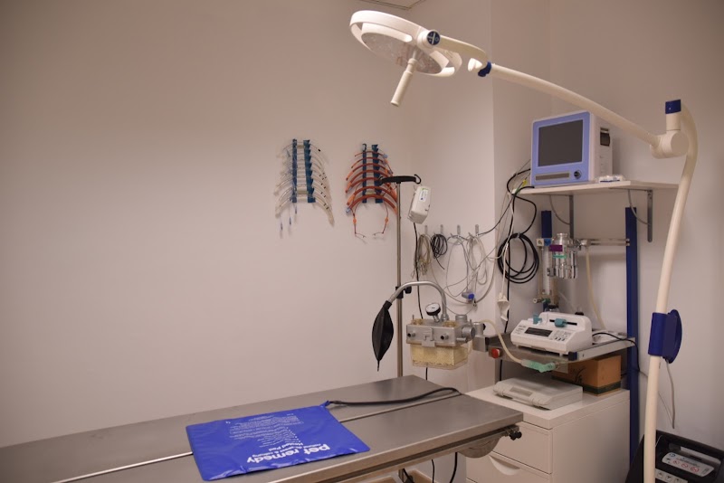 AlcoVet's. Clínica Veterinària d’animals exòtics i domèstics