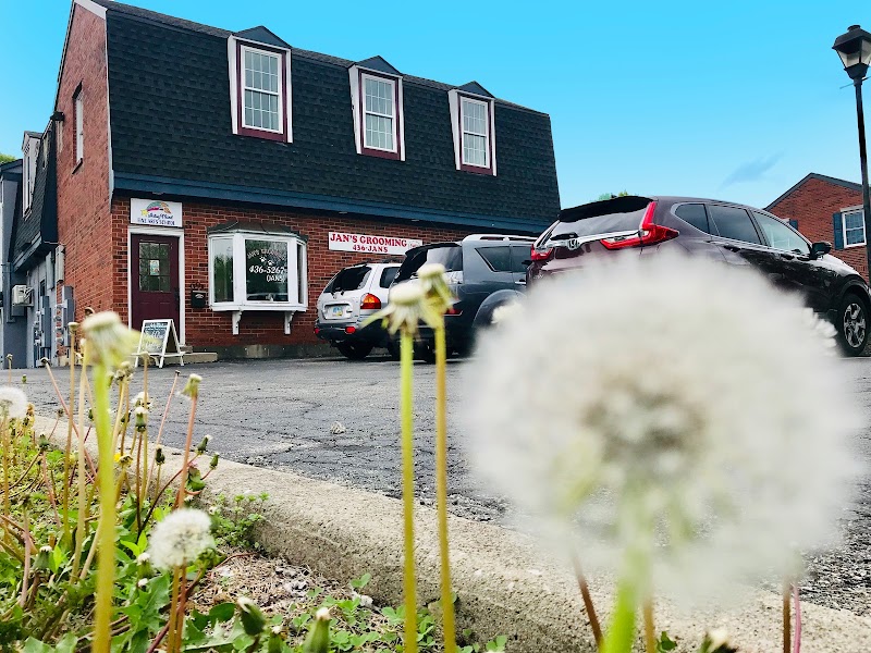 Artsy Mind - Fine Arts School