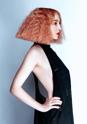 De Stijl Hair photo 2