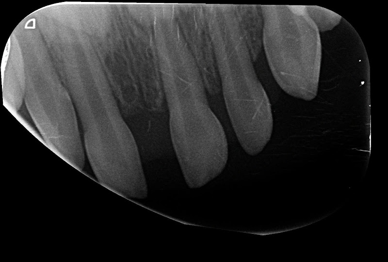Estomatologista Dr Alexandre Giannini
