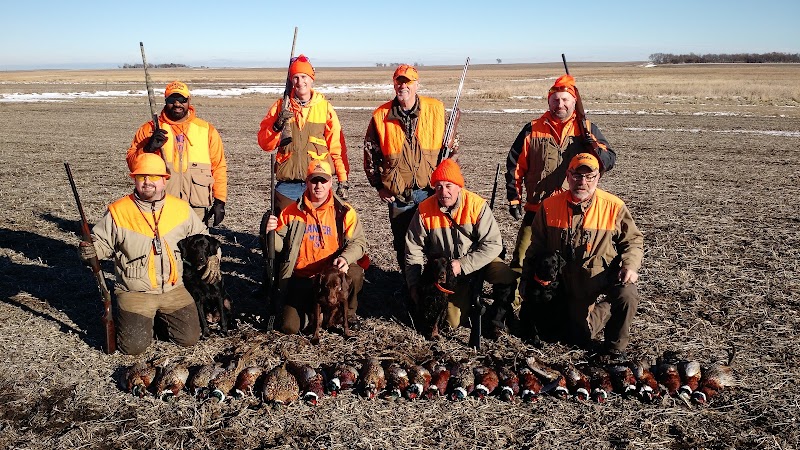 Northern Plains Outfitters Pheasant Hunts - Photo 4