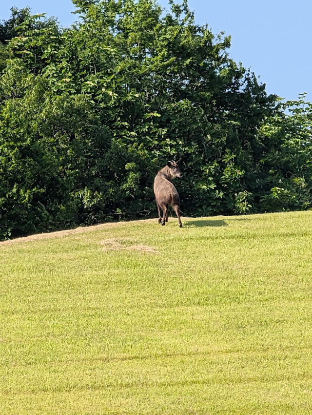 Ishikawa Golf Club - Photo 8