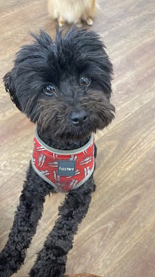 Grace Gold Hairdressers Brunswick photo 2