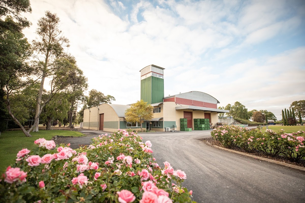 Balnaves of Coonawarra
