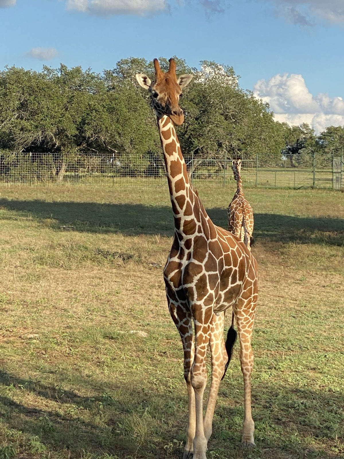 Ketterman Ranch