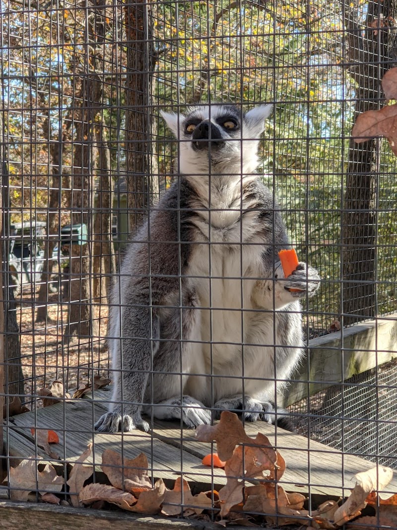 Lavender Ridge Farms & Café photo 2