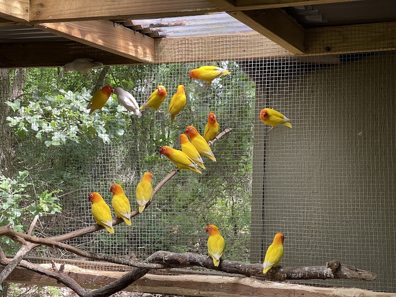 Lavender Ridge Farms & Café photo 3