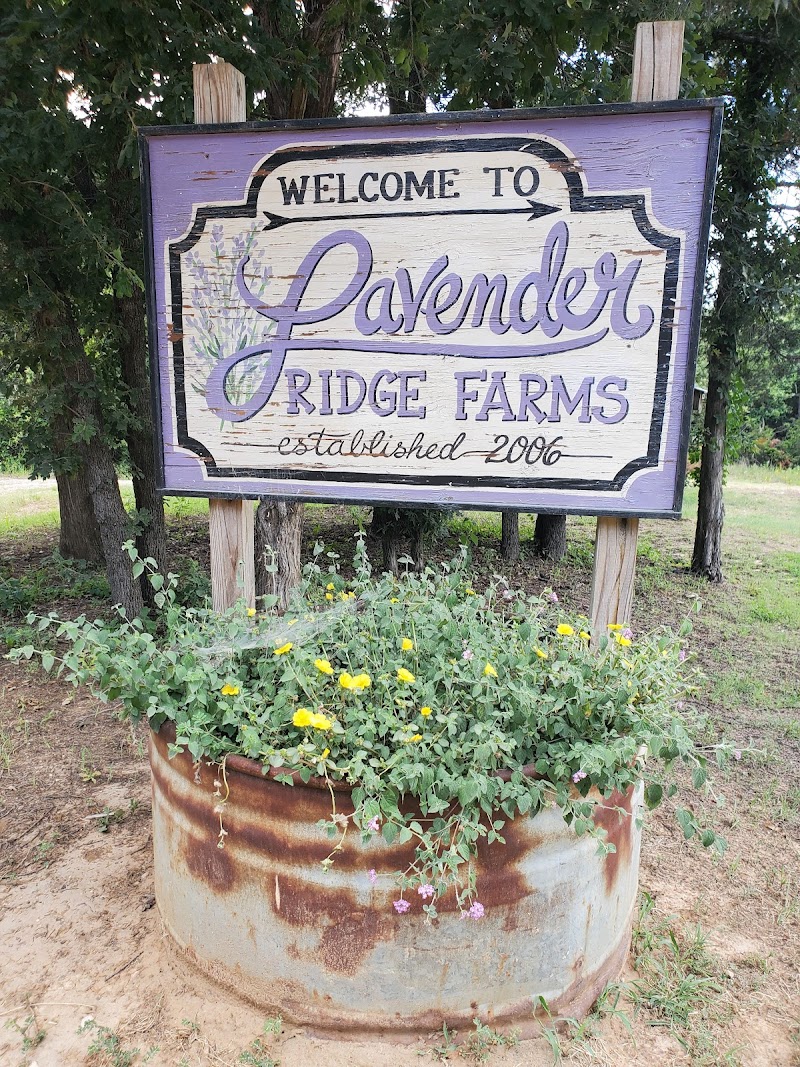 Lavender Ridge Farms & Café photo 4