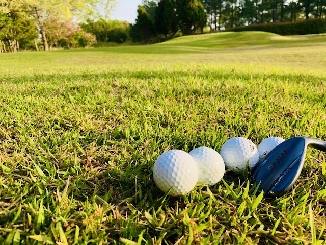 Fuji Ono Golf Club - Photo 6