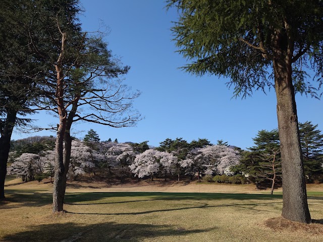 Ikaho International Country Club - Photo 10