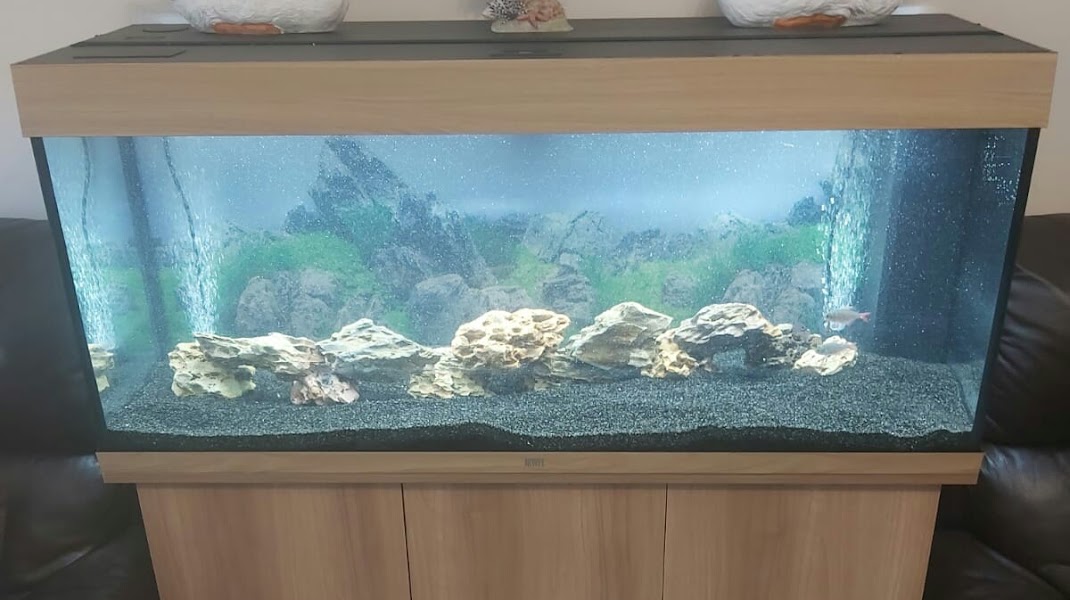 Aqua la vista