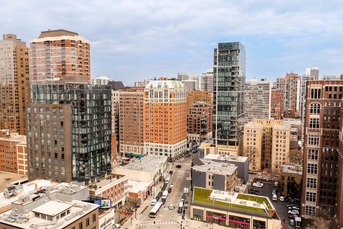Thompson Chicago, dog-friendly hotel in Chicago