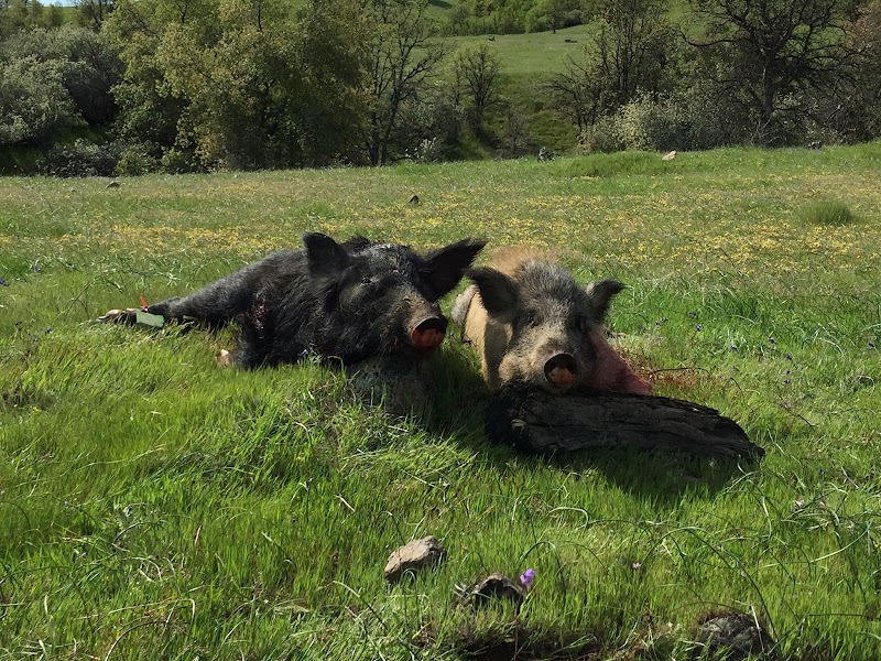 Rocky Ridge Hunting Club - Photo 1