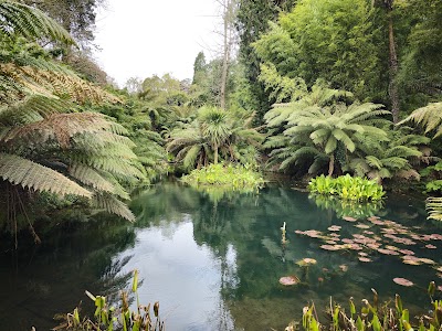 The Lost Gardens of Heligan
