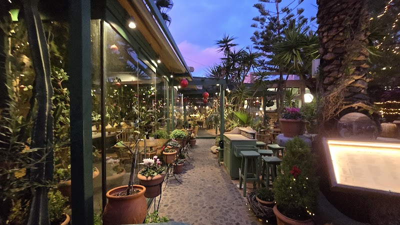 Pelican Kipos cafe and wine restaurant