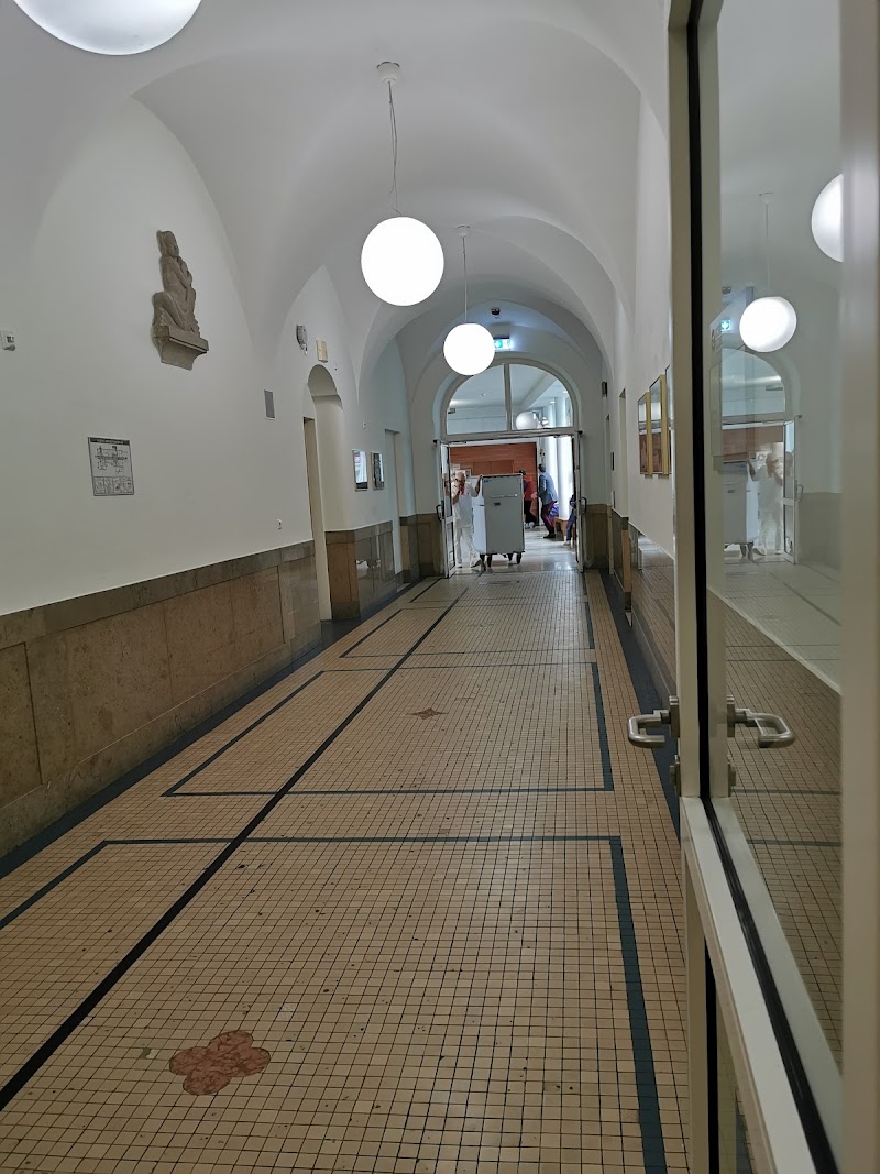 Gallery 5