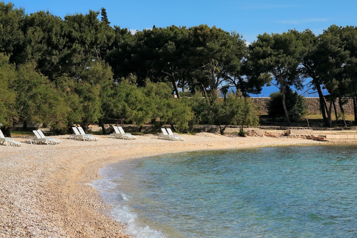 Hotel Villa Adriatica, dog-friendly hotel, photo 5