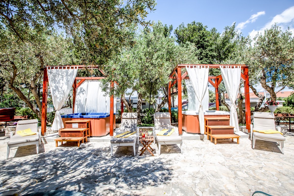 Hotel Villa Adriatica, dog-friendly hotel, photo 3