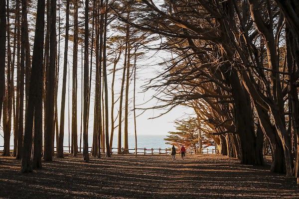 J V Fitzgerald Marine Reserve