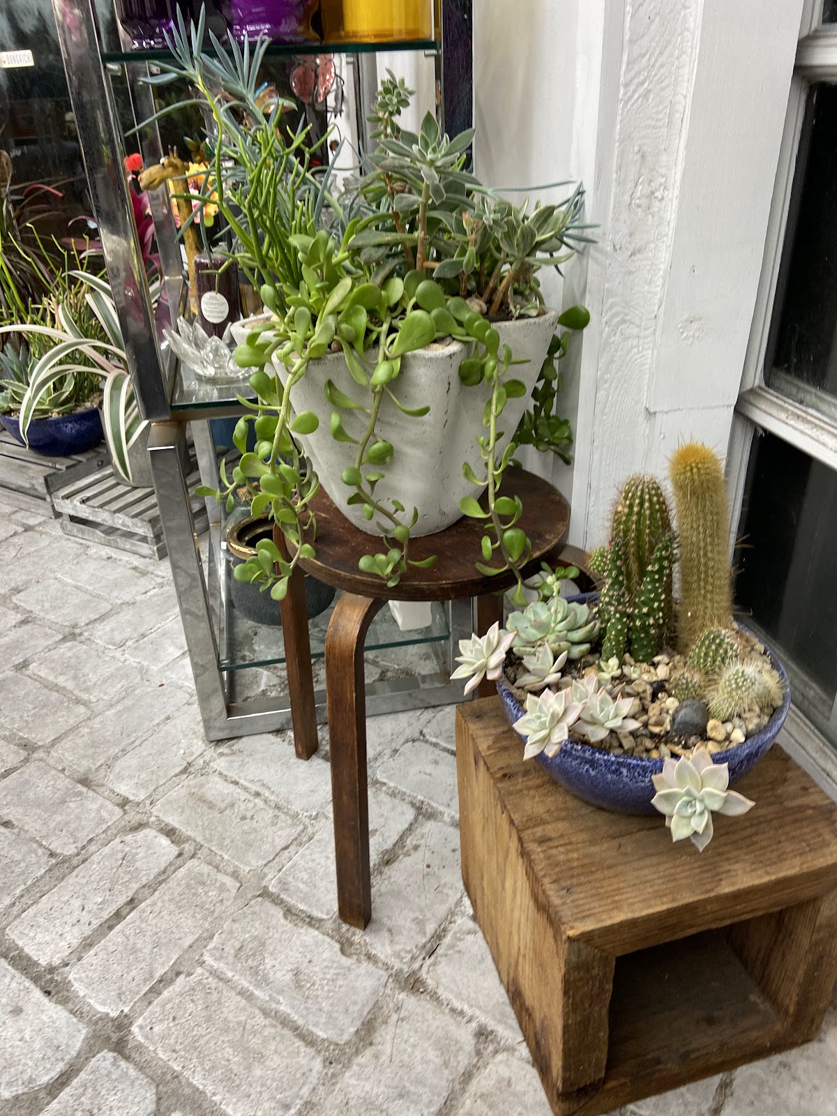Allen's Flower Market: Google Places image 3