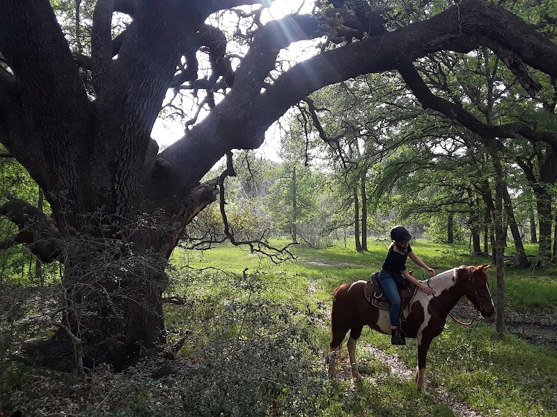 Lazy F Guest Ranch - Trail Ride Texas - Photo 3