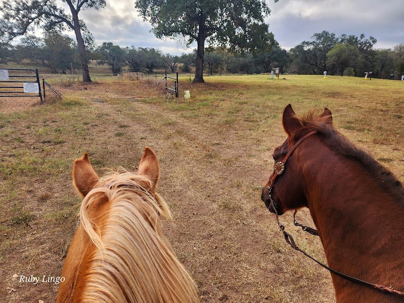 Lazy F Guest Ranch - Trail Ride Texas - Photo 2