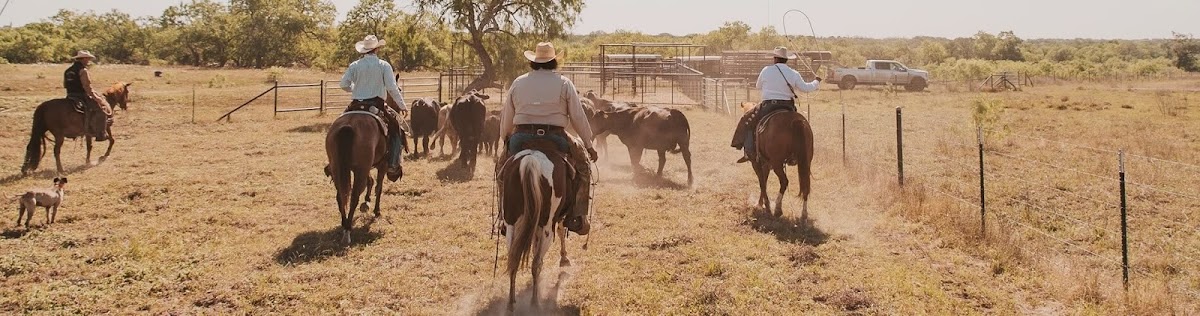 Lazy F Guest Ranch - Trail Ride Texas