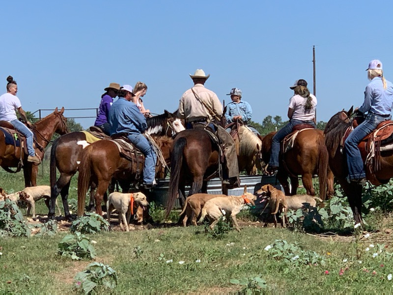 Lazy F Guest Ranch - Trail Ride Texas - Photo 1